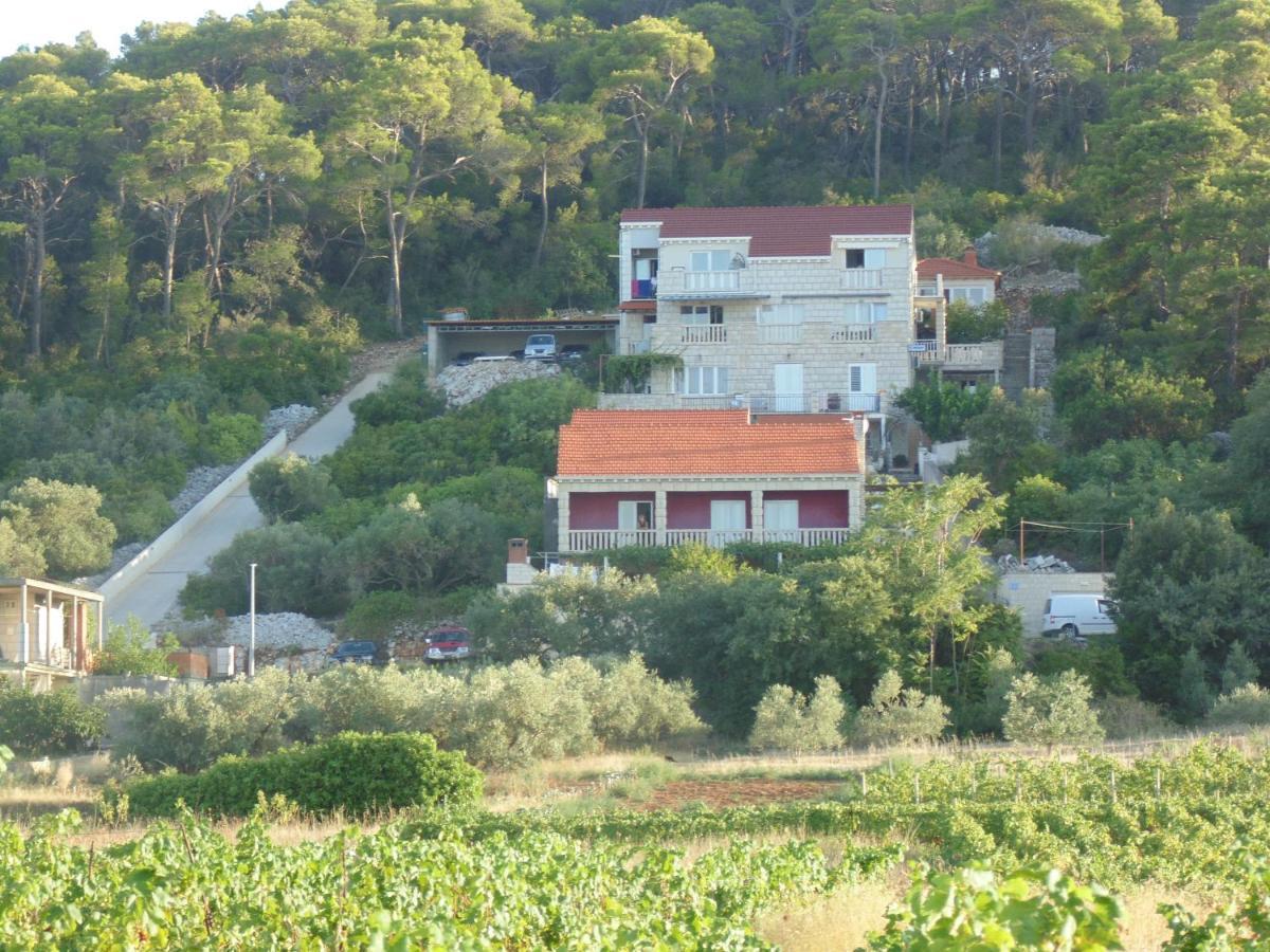 Villa Apartments Mate Cebalo Lumbarda Zewnętrze zdjęcie