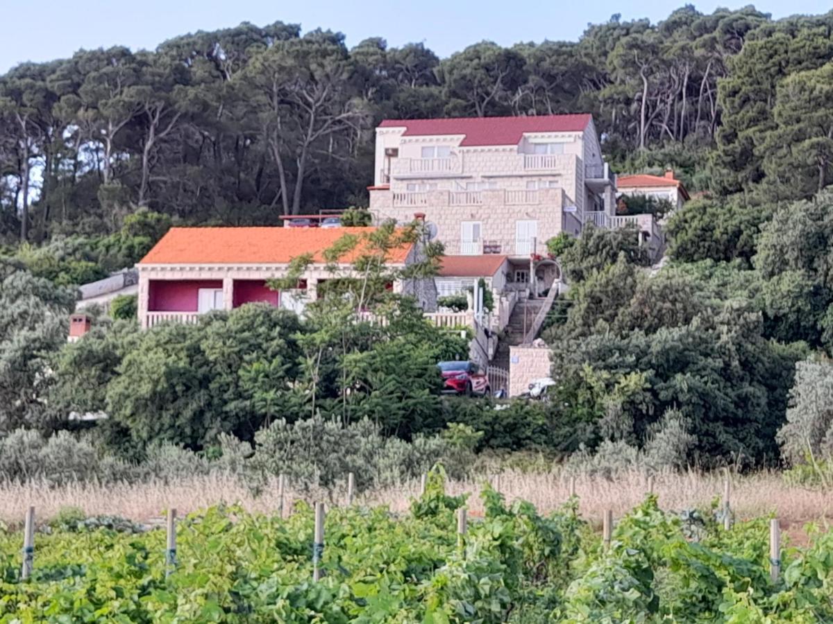 Villa Apartments Mate Cebalo Lumbarda Zewnętrze zdjęcie