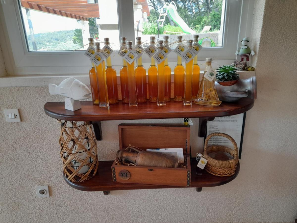 Villa Apartments Mate Cebalo Lumbarda Zewnętrze zdjęcie
